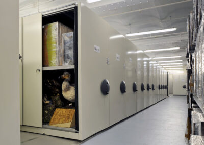 High Density Museum Storage