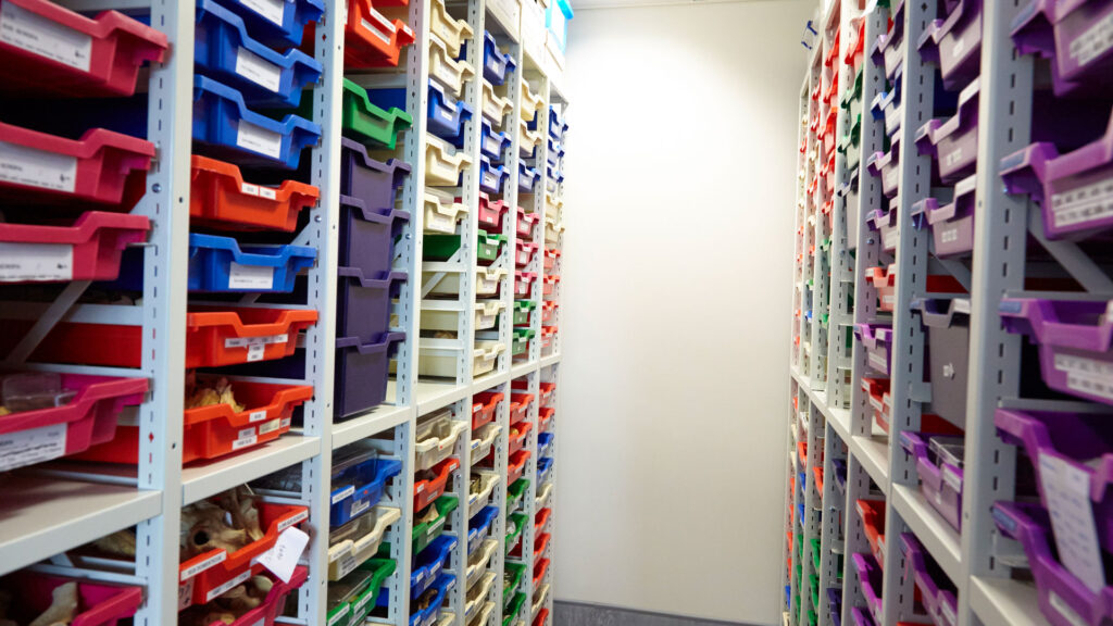 School Storage Drawers