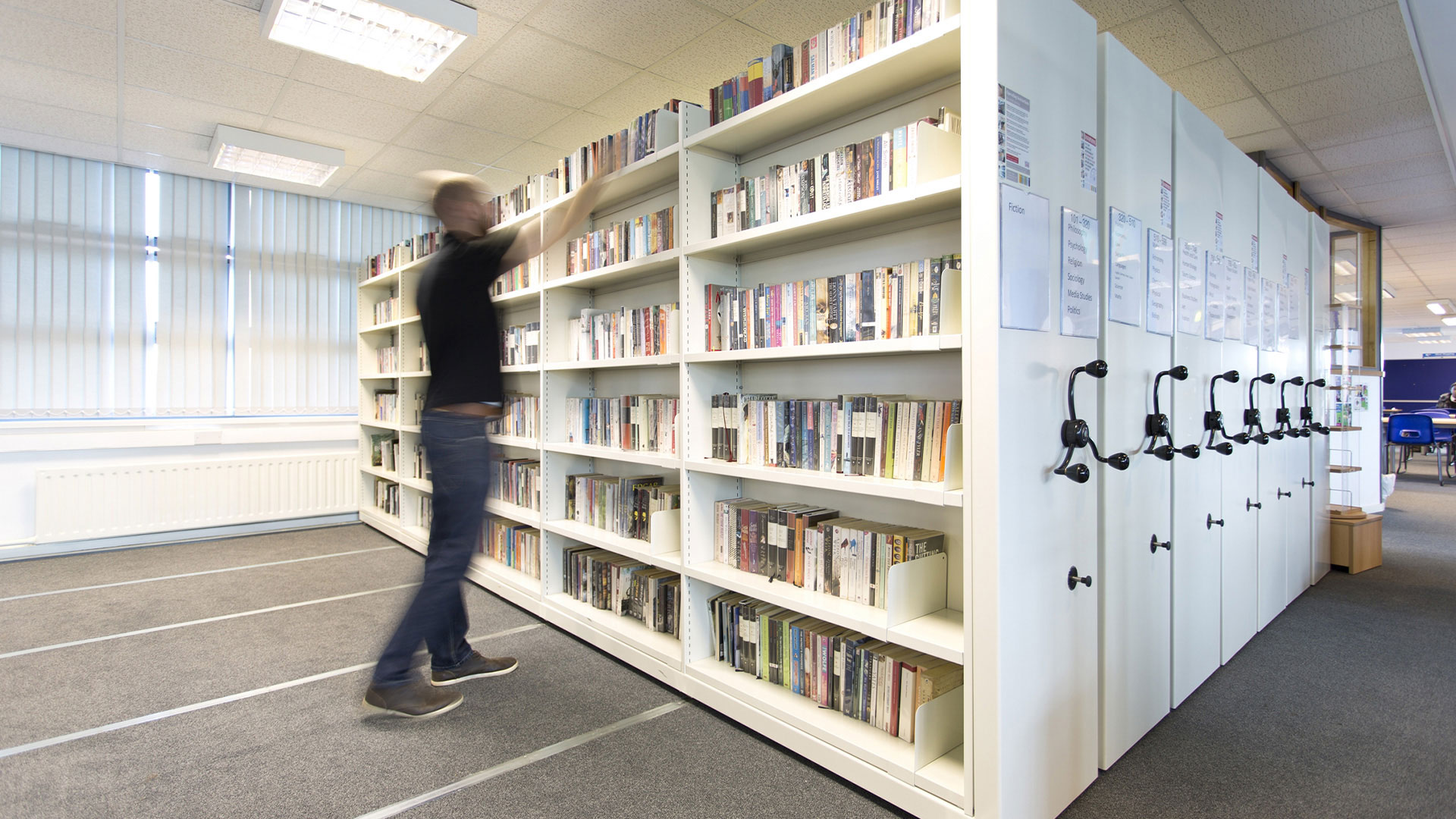 School Library Shelving