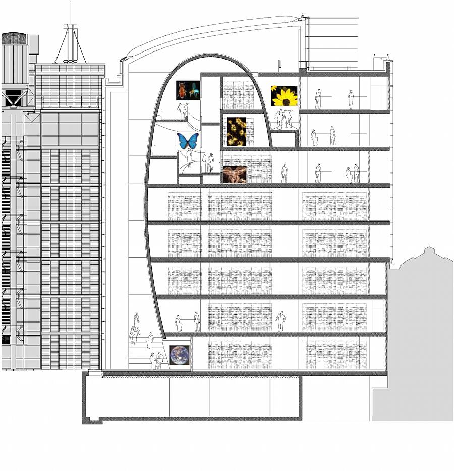 Darwin Centre Cocoon Design