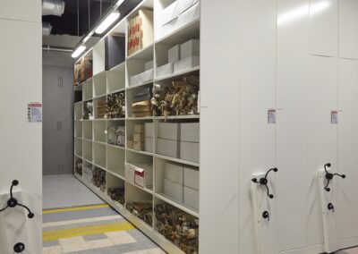 Mobile Storage at Paisley Museum