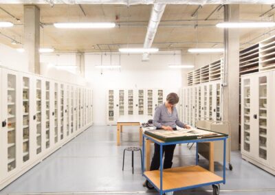 Museum Cabinet Shelving Solution