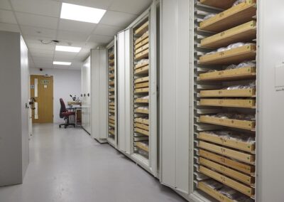 Wooden Archive Shelving