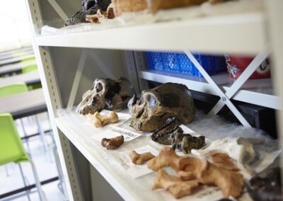 The University of Sheffield - Lab Sample Shelving